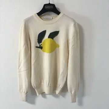 jw anderson 레몬 패턴 니트