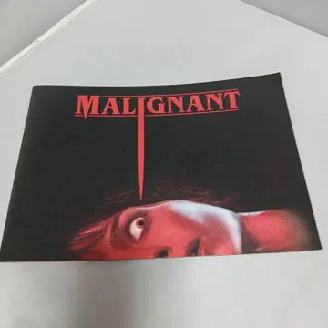 MALIGNANT 영화 팜플렛