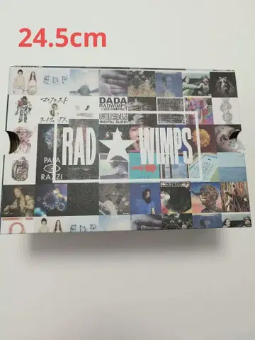 RADWIMPS x CONVERSE 24.5cm 컨버스 스니커즈
