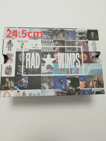 RADWIMPS x CONVERSE 24.5cm 컨버스 스니커즈