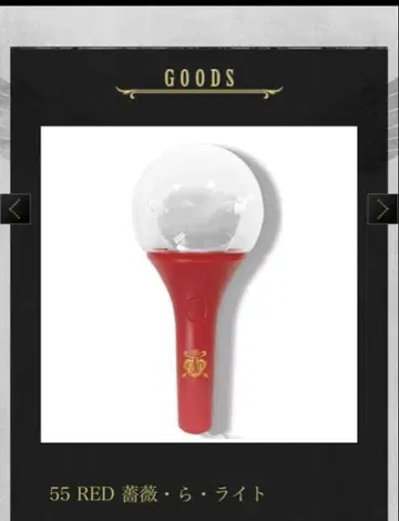 55 RED 장미 라이트 마키 오구로 라이브