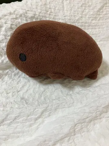 곰벌레 씨 봉제 인형 대
