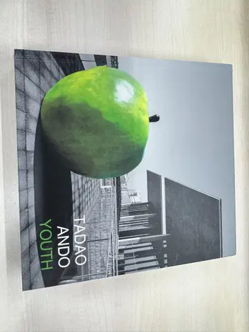 TADAO ANDO YOUTH 안도 타다오