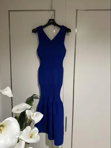 CFCl의 블루 원피스