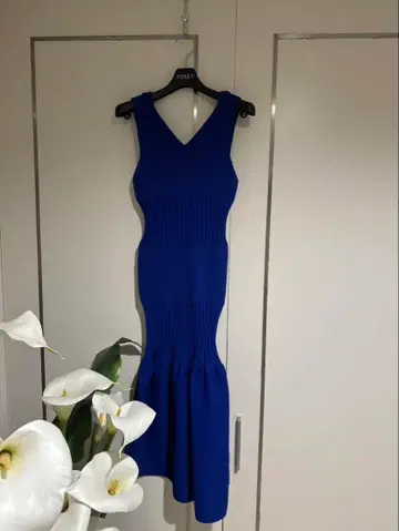 CFCl의 블루 원피스