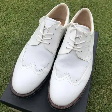 ECCO 윙 칩 골프화 화이트
