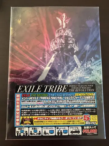 EXILE TRIBE PERFECT YEAR LIVE TOUR 2014