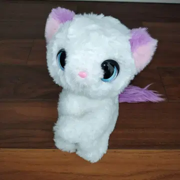 꽉 안아줘 심쿵! 응석받이 아기 고양이