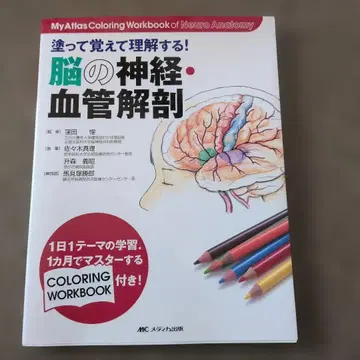 뇌 신경 혈관 해부 워크북
