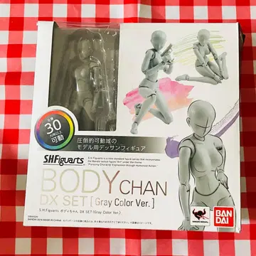 SHFiguarts 바디짱 DX SET Gray
