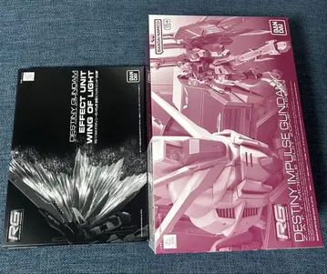 RG 1/144 데스티니 임펄스 빛의 날개 세트