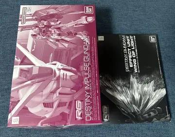 RG 1/144 데스티니 임펄스 빛의 날개 세트