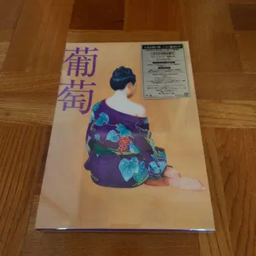 서던 올스타즈 포도 완전 생산 한정판 B