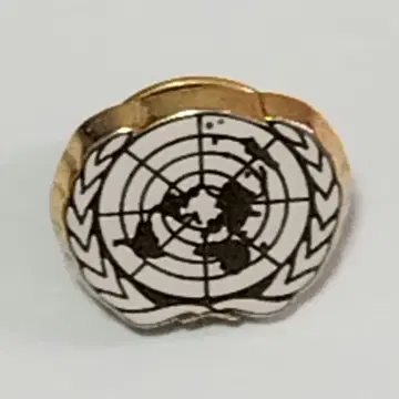 UN 로고 핀 배지