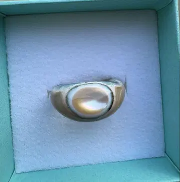 최종 가격 인하 해수욕장 반지 야광 조개