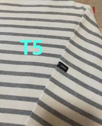 고품질 세인트 제임스 그레이 미색 t5 ML