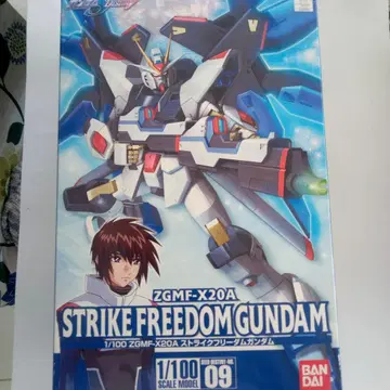 BANDAI 1/100 스트라이크 프리덤 건담