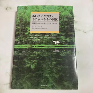 애매한 상실과 트라우마로부터의 회복 폴린 보스 저 성신서방