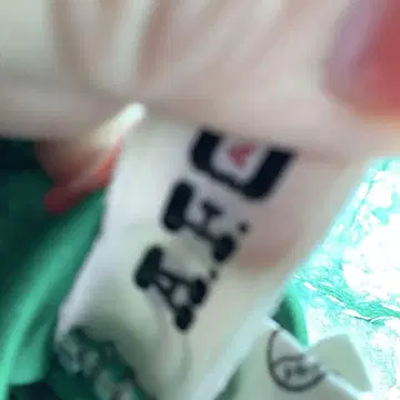 그린 꽃무늬 오간자 부착 롱 드레스