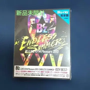 B'z/B'z LIVE-GYM Pleasure 2013 ENDLESS -