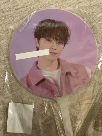 SEVENTEEN DINO 부채
