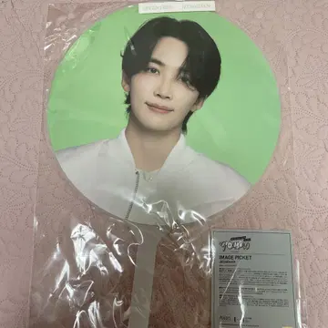 SEVENTEEN 정한 부채 FOLLOW