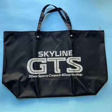 SKYLINE 오샤레나 빅사이즈 GTS 백