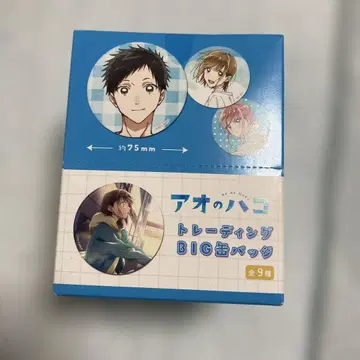 푸른상자 트레이딩 BIG 캔뱃지 전 9종