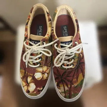 스페리 탑 사이더 25.5cm