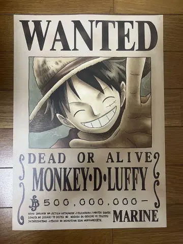 몽키 D 루피 WANTED 포스터