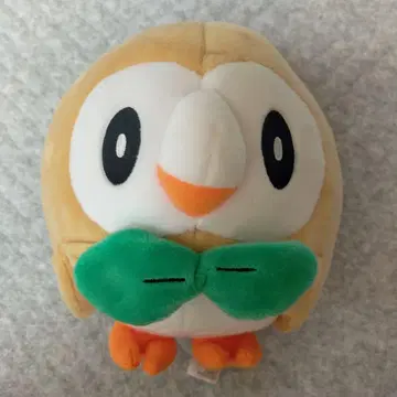 나몰빼미 봉제 인형 포켓몬 센터