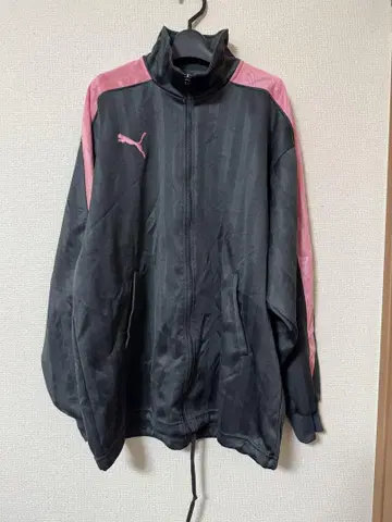 Puma 저지