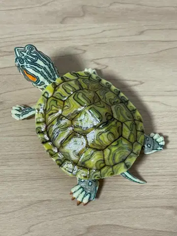 미시시피붉은귀거북 (파스텔) 생물대도감 어드밴스 거북 02 생물