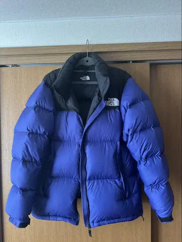 THE NORTH FACE 눕시 자켓