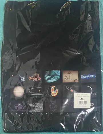 BUMP OF CHICKEN 홈시크 위성 2024 파이널 T셔츠 XL