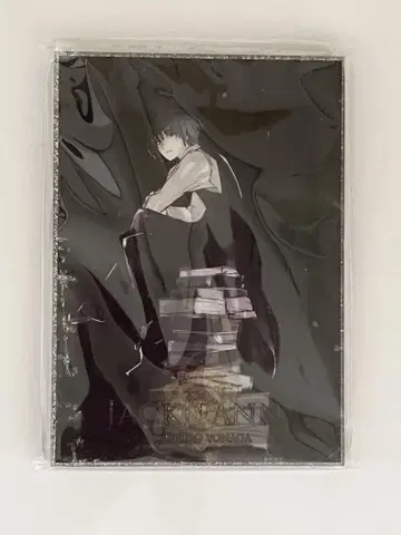 세나가 소시로 아크릴 블록