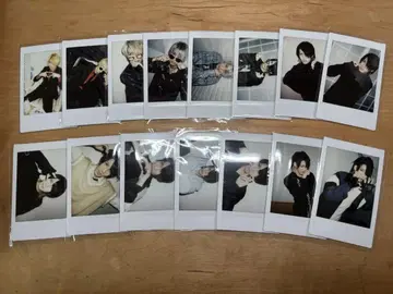 아나타시아 마린 폴라로이드 15장
