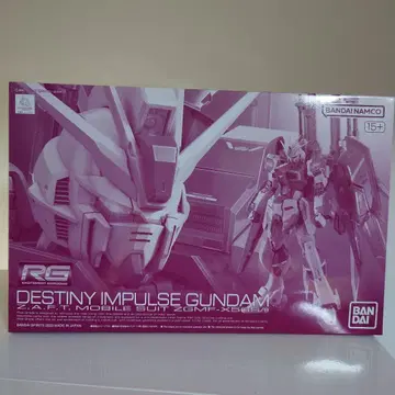 새상품 미조립 건담 프라모델 RG 데스티니 임펄스 건담