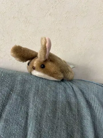 프리카 마츠모토 토끼 봉제 인형