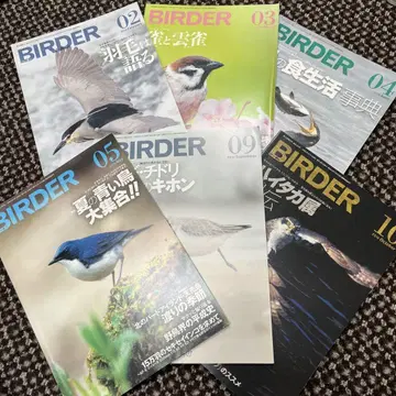 BIRDER 잡지 세트 2019년 발행