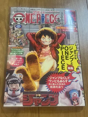 새상품 ONE PIECE magazine 20호