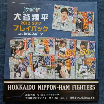 오타니 쇼헤이 플레이백 2012-2017