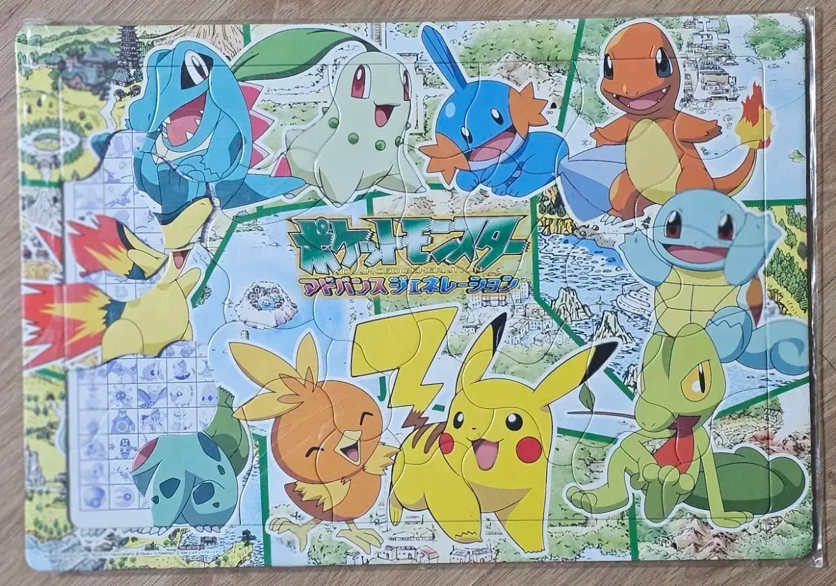 Animation Pokémon Puzzle