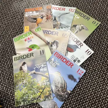 BIRDER 2023년호 8권 세트 새상품급