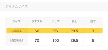 MIEL CRISHUNANT 플리츠 미니 스커트 팬츠