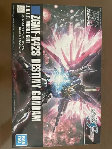 HG 1/144 ZGMF-X42S DESTINY GUNDAM