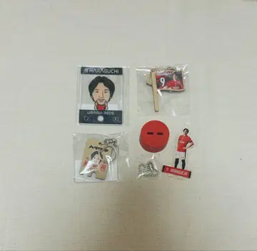 우라와 레즈 하라구치 겐키 굿즈 묶음 판매