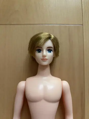 리카짱 캐슬 오타노시미 인형 타쿠미