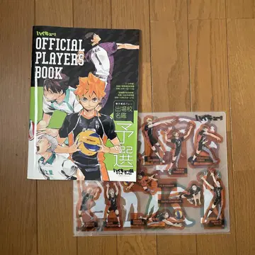 하이큐!!전 팜플렛 + 원화전 키 비주얼 사용 클리어 책갈피 22종 세트