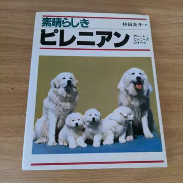 훌륭한 피레니안